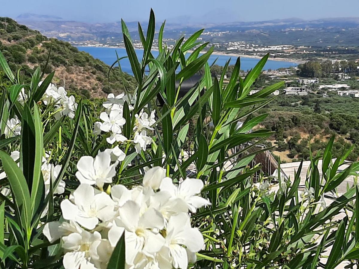 Aloe Villa Chania Crete Джорджополис Екстериор снимка