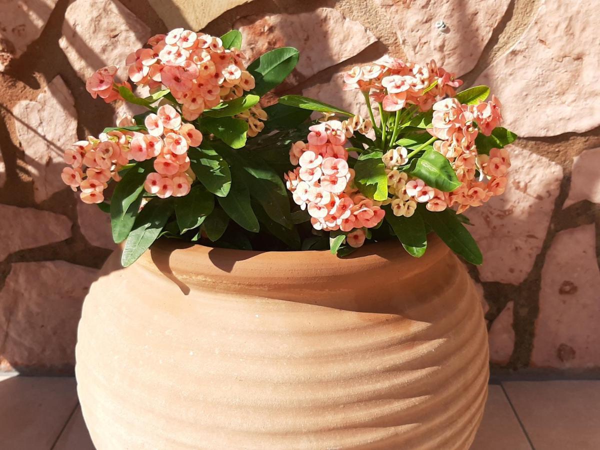 Aloe Villa Chania Crete Джорджополис Екстериор снимка
