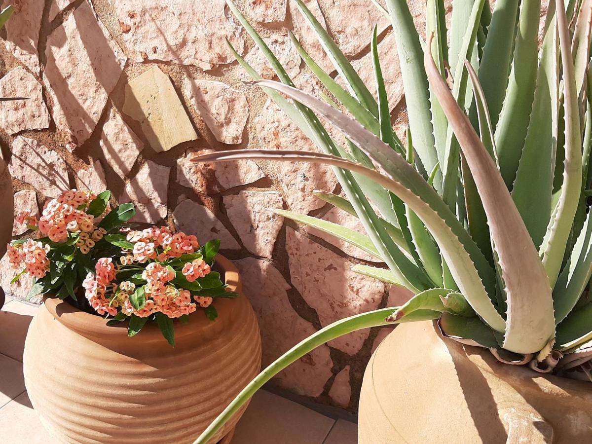 Aloe Villa Chania Crete Джорджополис Екстериор снимка